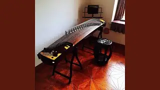 一花一世界 (古筝轻音乐)
