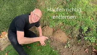 Maulwurfsh&uuml;gel Beseitigen - 3 Effektive Methoden