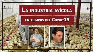 La industria av&iacute;cola en tiempos del Covid-19 EP 1: Charla con los M.V Horacio Gamero y Yari Lucerna