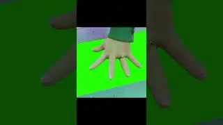 Turning Red Meilin's Paper Green Screen