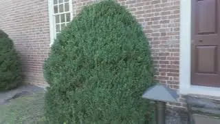 The Wilton House (Hartfield, VA) - Outside Tour of Manor
