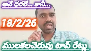18/2/26 Mulakalacheruvu tomato market price today 🍅#todaytomatorate #crkvideos16 