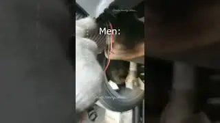 Memes That Only Car Guys Will Understand