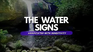 How can water signs make the most of their astrological traits?