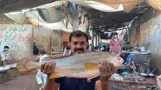Karachi Bengali Fish Market 100 Quarter  26th December Updates                         