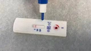 COVID 19 Antibody Test Demonstration, by Dr  Larry Bush part 3, May 15, 2020
