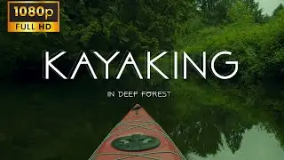 6 Hrs. of Kayaking Sounds in Deep Forest | Nature Birds| Calm | Stress Relief | Focused | Loop - HD