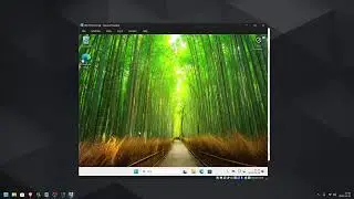 Debloated Windows 11 install with Local account