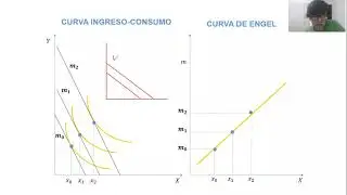 Clase 7: Ecuaci&oacute;n de Slutsky y Ley General de la Demanda