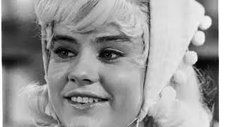 Beyond the Screen: Mind-Blowing Facts About The Patty Duke Show TV Series!