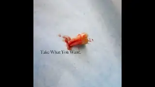 Laurless - Take What You Want Feat. Ohhwot