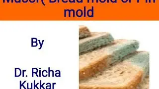 Fungi : Mucor Part 1