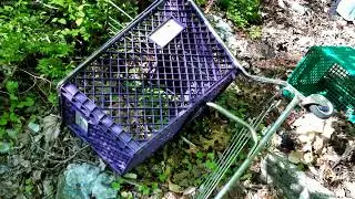 Abandoned Shopping Cart Graveyard in Meriden Connecticut We found Caldor and Ames carts.