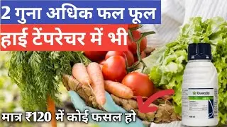 Syngenta Quantis | quantis syngenta uses in hindi | plant growth tonic | humic acid | Quantis | PGP