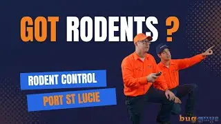 Rodent Control Port St Lucie... Got Rodents?