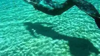 Mermaid Meshpa