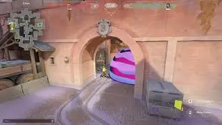 1 vs 5 chamber ace clutch