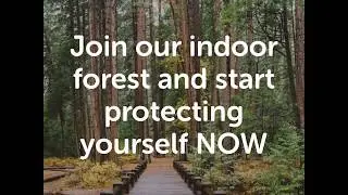 What Is Indoor Pollution Bioorg