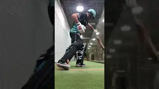 David Warner Batting Left-Handed