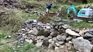 ［6年目］荒廃した山の再生2025まとめ