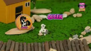 Puppy Club Friends - Lucky Horses