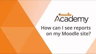 How can I see reports on my Moodle site?