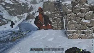 🦏💩