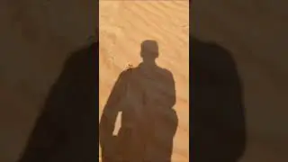 Camel spiders chase people😳😳😳😱 (silly just for fun 😬🐍