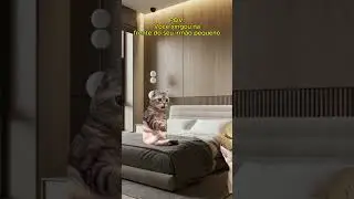 QUANDO VOCE XINGA NA FRENTE DO SEU IRM&Atilde;O PEQUENO #memes #gatos