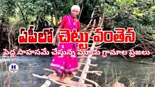 Tree bridge in AP|Tree bridge in AP