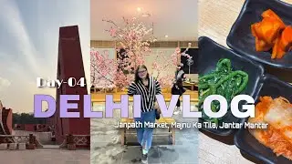 Delhi Travel Vlog |🛍️ Shopping at Janpath Market | Lunch at Majnu Ka Tila 🍣 | Jantar Mantar ✨