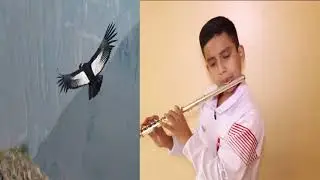 El Condor Pasa en flauta traversa (Partitura) - David Tena