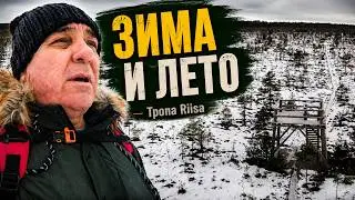 Где погулять зимой в Эстонии с удовольствием и пользой.
