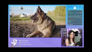 Staryuuki reacciona a 