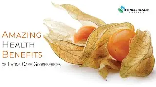 Health Benefits Of Cape Gooseberry