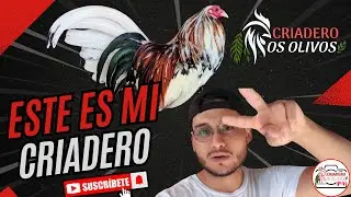 CRIADERO LOS OLIVOS
