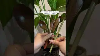 Go Green With Bamboo Eco-Friendly Cutlery (Our Sustainable Products) #shorts