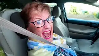 Funny Animal Voiceovers That&rsquo;ll Make You Cry Laughing