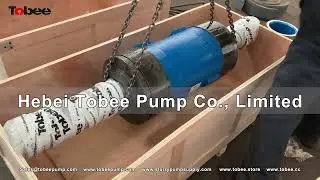 Tobee&reg; 10x8ST AH Slurry Pump Bearing Assembly SH005M