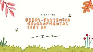 Beery Buktenica Developmental Test of Visual Motor Integration