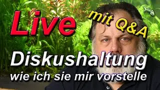 LIVE - mit Q&A - Der Diskus - Wie ich mir die optimale Haltung von Diskussen vorstelle.