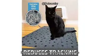 Drymate Original Cat Litter Mat Review: Does It Truly Protect Floors & Prevent Mess?