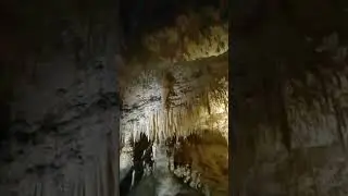 Aranui Cave, New Zealand