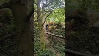 Super cool feature! #surreyhills #mtb #ninerbikes #emtb #northshore #enduro #freeride