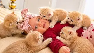 Baby Gets Attacked with Love by Tiny Kittens