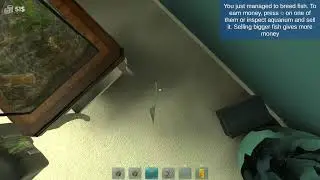 uzito84's finding errors
