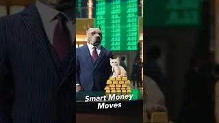 Pitbull & Kitten Buy Stocks on Wall Street! 🐶🐱 Funny & Cute Dogs and Cats #dogsandcats