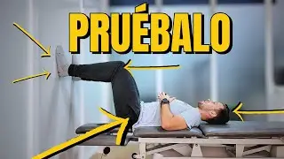 Alternativas si NO PUEDES hacer SENTADILLAS | 5 Ejercicios