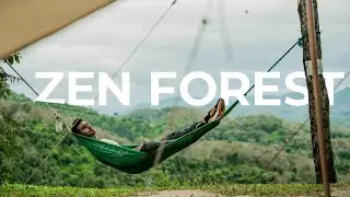 THE BEST CAMPING SPOT I HAVE EVER SEEN IN MALAYSIA - ZEN FOREST