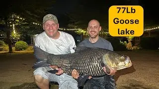Richards birthday 2025 at goose lake. Fishing in thailand Siamese giant carp